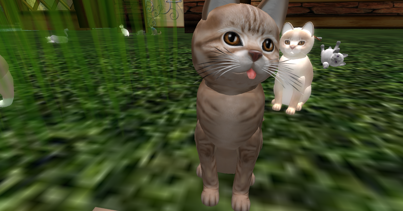 Original 5045567120d0353754000001