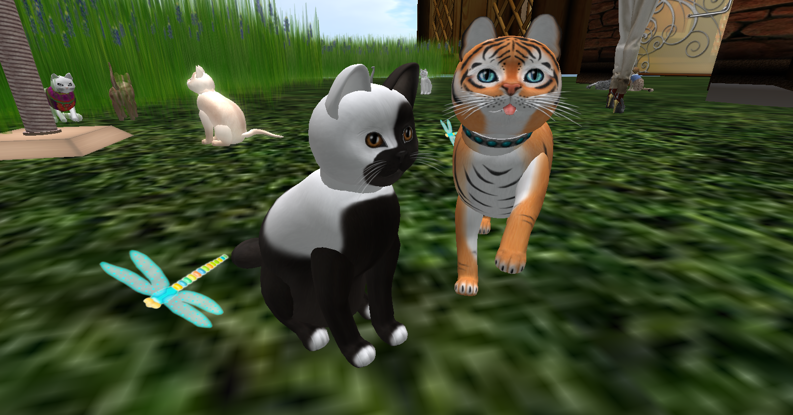 Original 504556bcac39870770000001