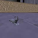 Thumb 5019ebdd9263ba6235000001