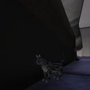 Thumb 5019ec982230e62b00000001