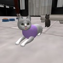 Thumb 501d205c37f59a5819000001