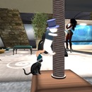 Thumb 502276d56b048f5d50000001