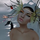 Thumb 531c95b2a73e213833000001