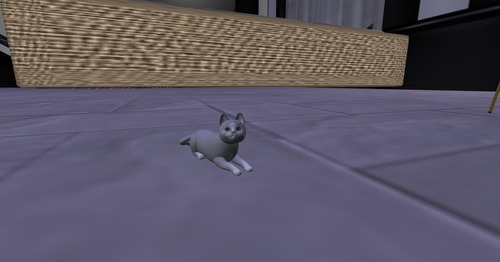 Web 5019ebdd9263ba6235000001