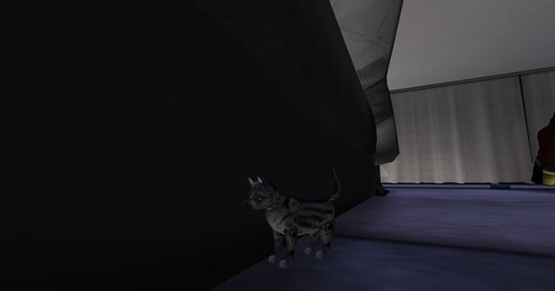 Web 5019ec982230e62b00000001