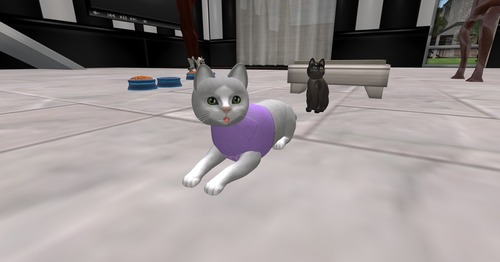 Web 501d205c37f59a5819000001