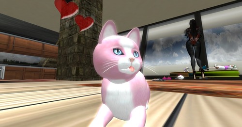 Web 5027ed134441942071000001