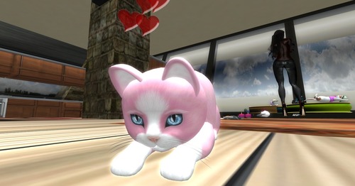 Web 5027ed4af25f481724000001