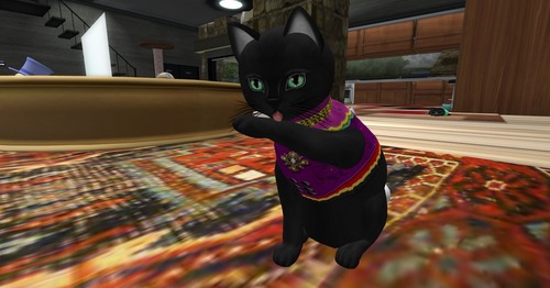 Web 502a7571a677d05b5f000001