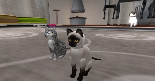 Web 50395a978f7c8a4eeb000001