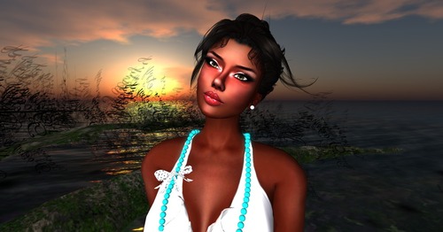 Web 503d06565ee93c2210000001