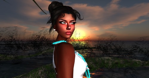 Web 503d08505257d13d73000001