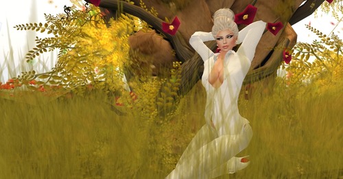 Web 503de66164ae1e7eca000001