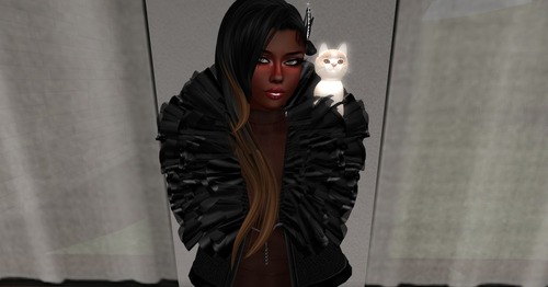 Web 503e3f035314a902b7000001