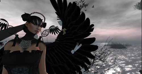 Web 531a2028128cc97f55000001