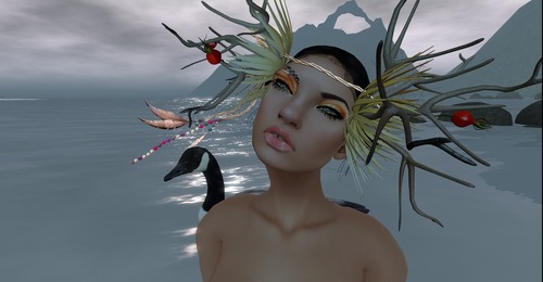 Web 531c95b2a73e213833000001