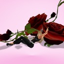 Thumb 50e6402cb2a0c8692f000001