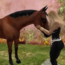 Thumb 50e640f29c1f0a44c2000001