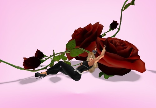 Web 50e6402cb2a0c8692f000001