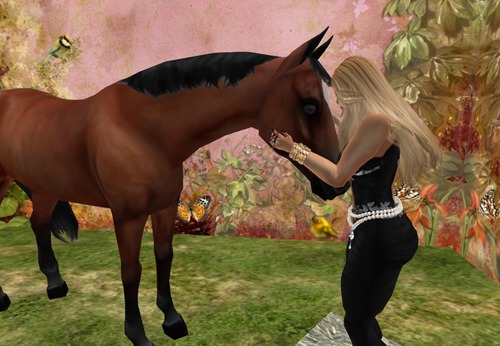 Web 50e640f29c1f0a44c2000001