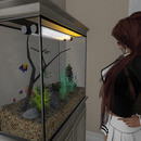 Thumb 6437af81ef94cc11a3cb81b8