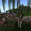 Thumb 6446285efb19203e0407d38c