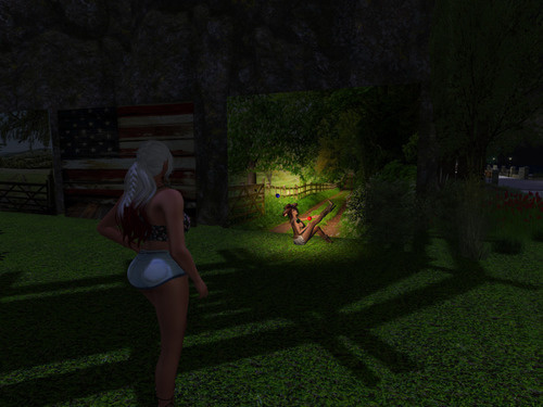 Web 649d6b375432485185a47f06