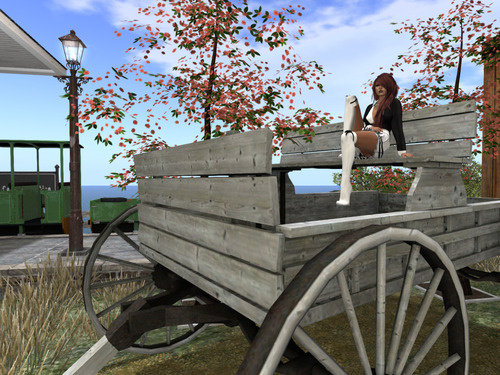 Web 65cb95c5be672a129f264780