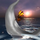 Thumb 509bf0f4f3a5880974000001