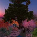 Thumb 509c829a891562128b000001