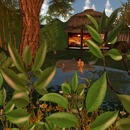 Thumb 565a2f4c9934e077c1000001