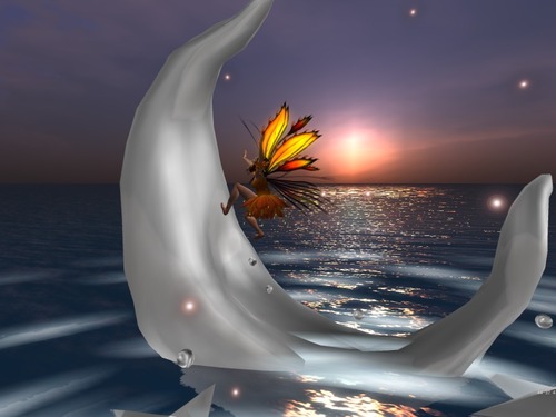 Web 509bf0558d45561e63000001