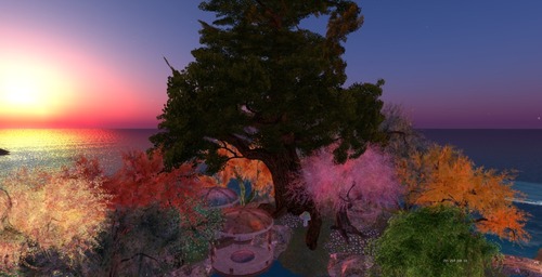 Web 509c829a891562128b000001