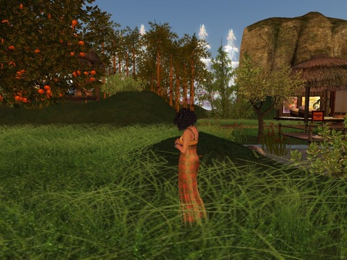 Web 55648181a73e21384b000001