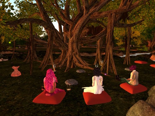 Web 560583448da57224f5000001