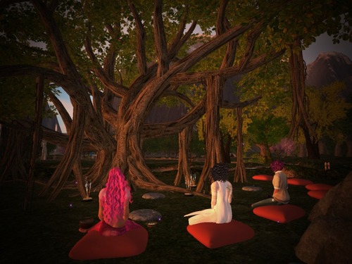 Web 56058727a73e2148cf000001