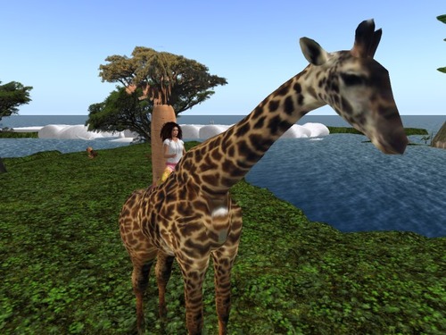 Web 56194deb128cc9529d000001