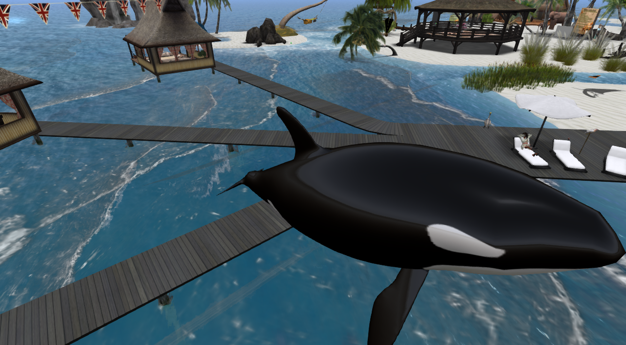 Original 53ff12b1128cc90654000001