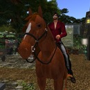 Thumb 50f32f219f4758516d000001