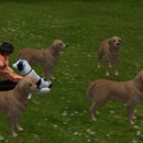 Thumb 539035298da5727b7a000001