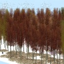 Thumb 539570558da572557e000001