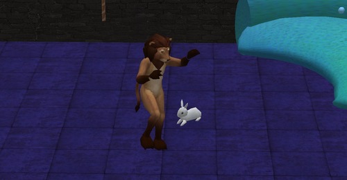 Web 512403474bcbb1784a000001