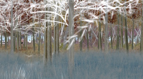 Web 539572078da5726201000001