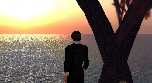 Web 539a9466a73e21208e000001