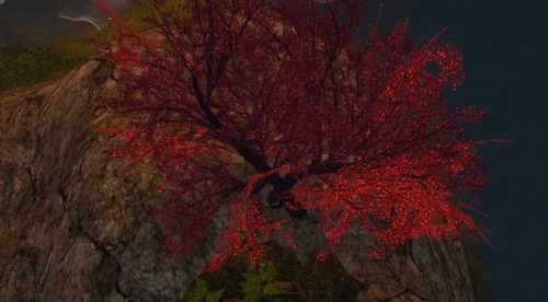 Web 539ac3eb8da5722bb2000001