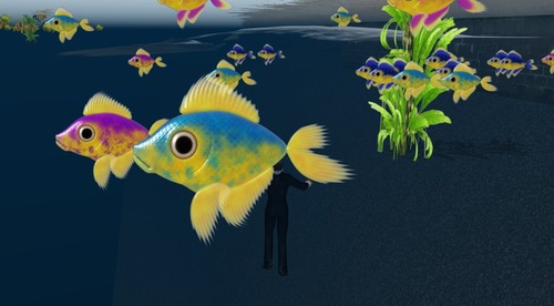 Web 53a92537128cc94d61000001