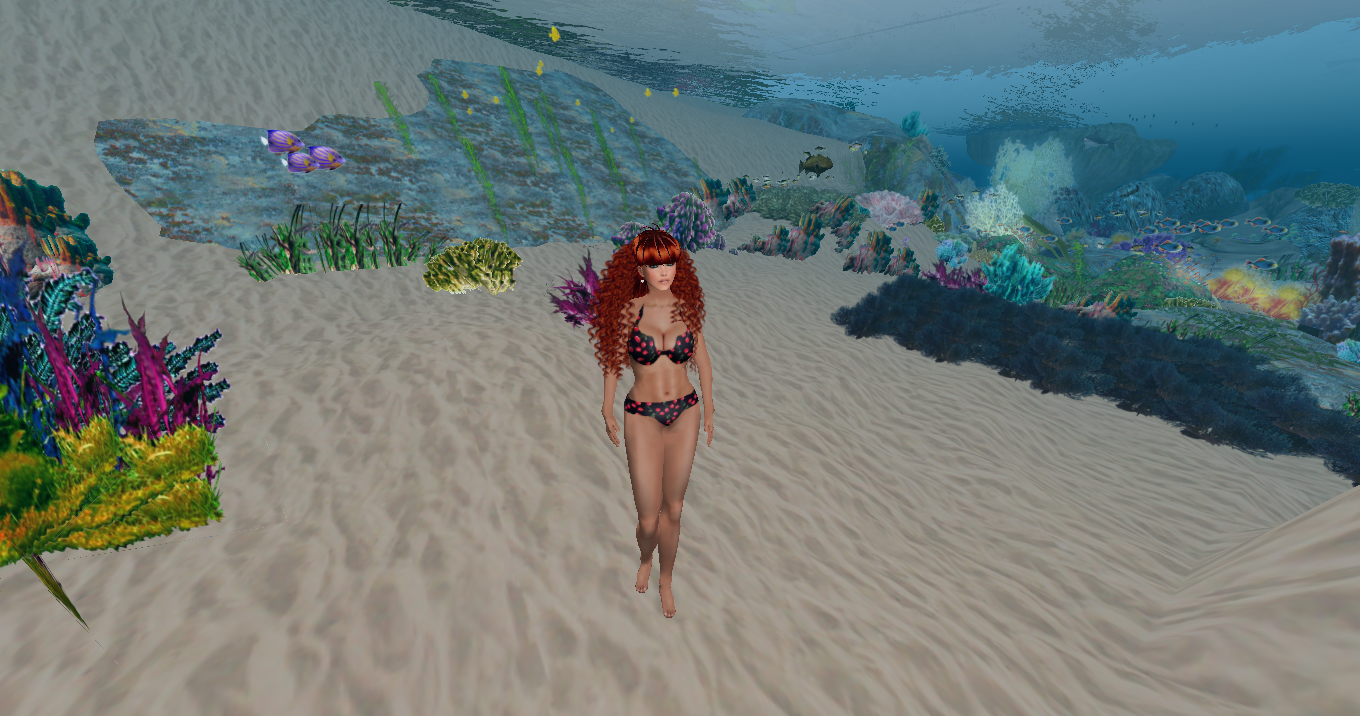 Original 505f186767ea4f7ed2000001