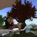 Thumb 5229f3d2879bf229ca000001