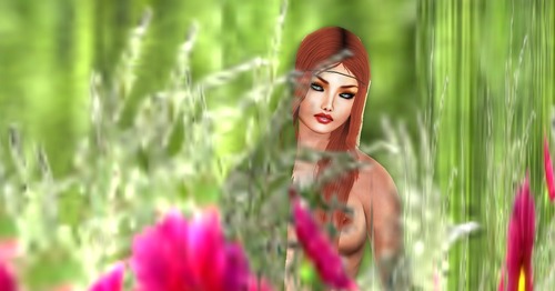 Web 524ee46a8851427100000001