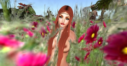 Web 524ee4e64366ae60af000001